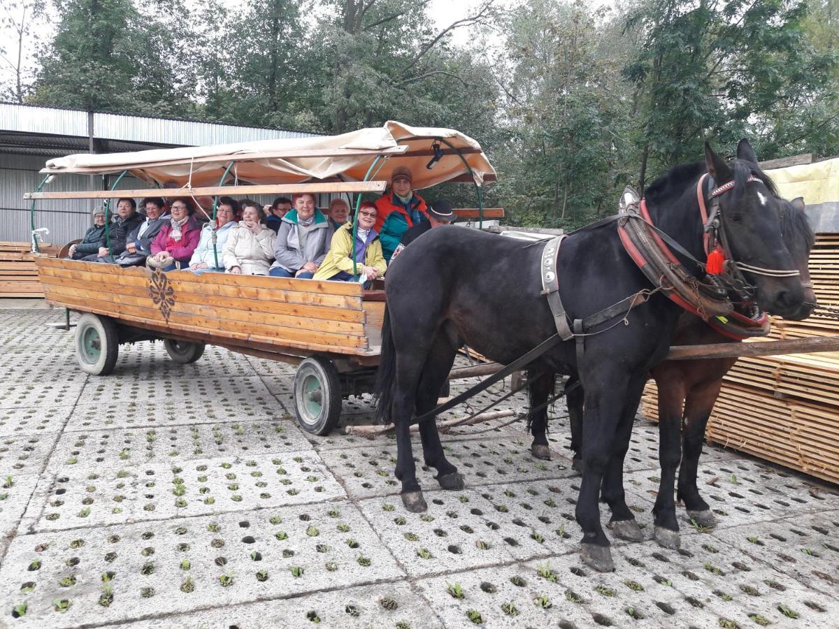 Agroturystyka U Misia Niedźwiedź Esterno foto